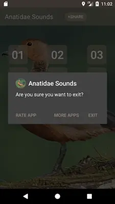 Anatidae Sounds android App screenshot 0